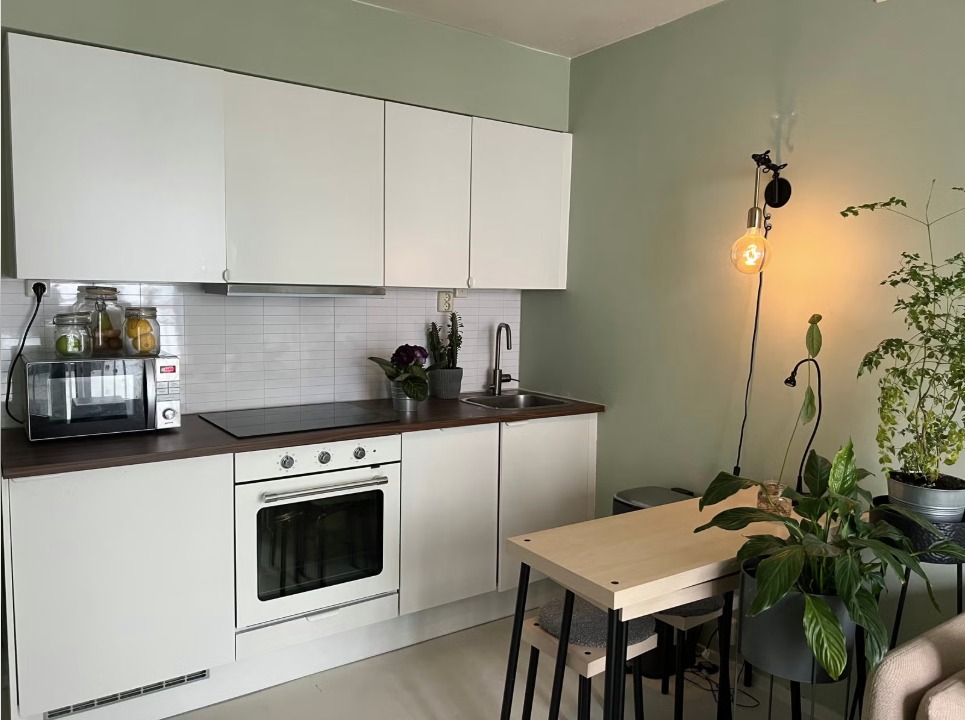 Nye skapfronter, benkeplate og hvitevarer desember 2022. 